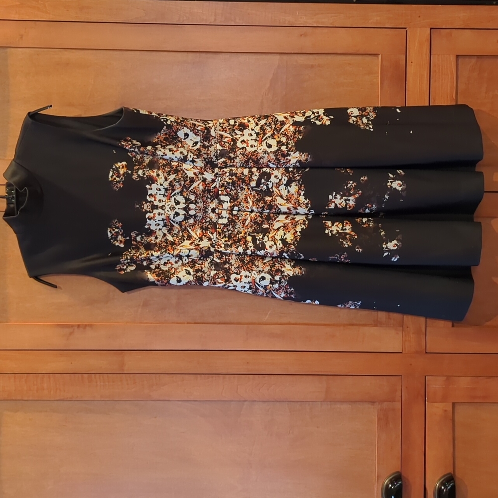 Antonio Melani Lined Sleeveless Dress 10